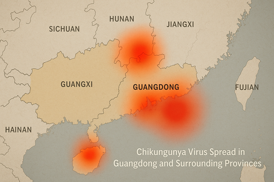 Chikungunya virus spread in Guangdong and surrounding provinces