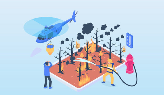 wildfire, security camera, cloud camera