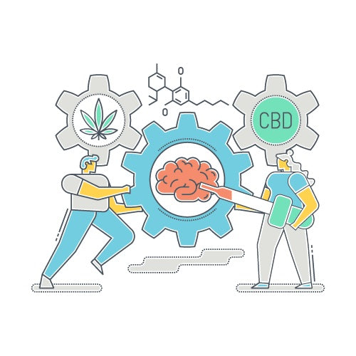 Protecting Cannabis Retail: How Video Analytics Can Help Prevent Theft and Internal Losses