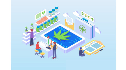 The Role of Surveillance in Securing Cannabis Operations from Cultivation to Dispensaries