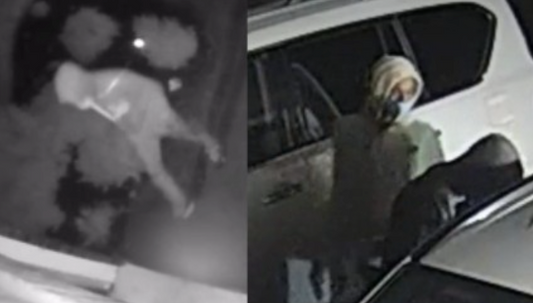 Tips leading to an arrest may be eligible for a reward of $250 to $10,000 and can remain anonymous.